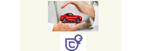 Agency Partner Logo